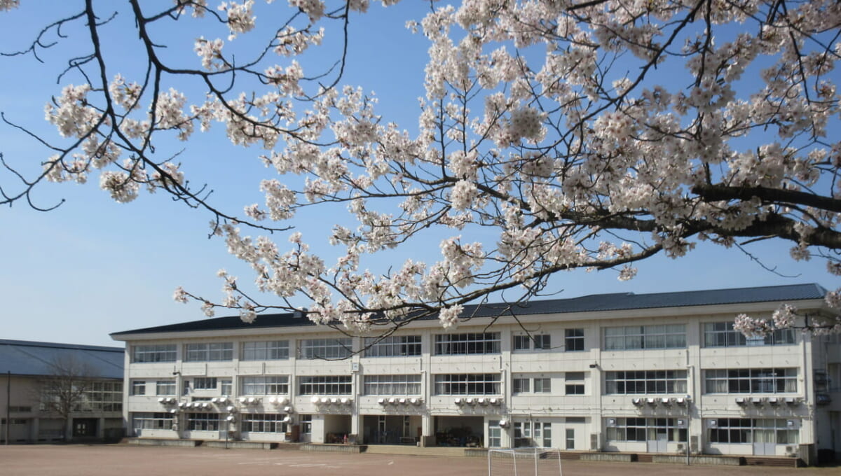 天童市立津山小学校